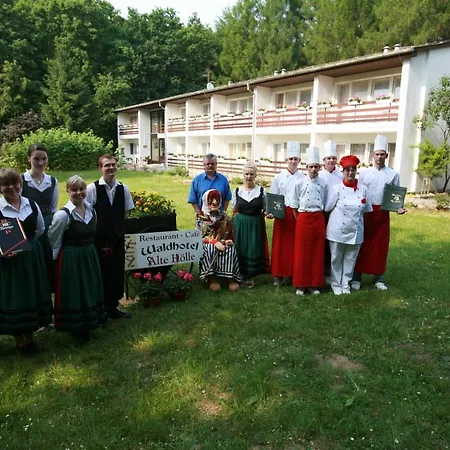 Waldhotel Alte Holle Hotel 2*