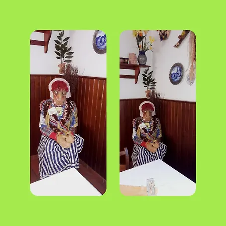 Hotel Waldhotel Alte Holle