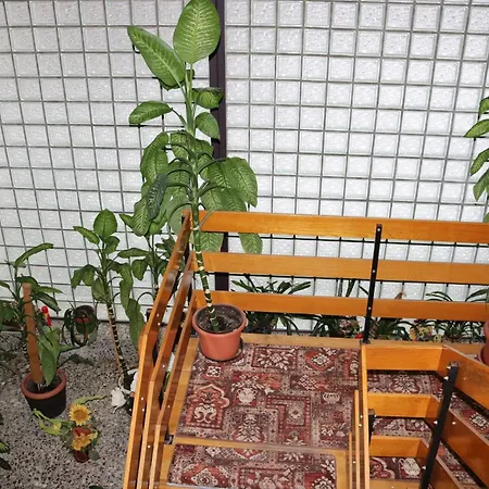 Waldhotel Alte Holle Hotel 2*